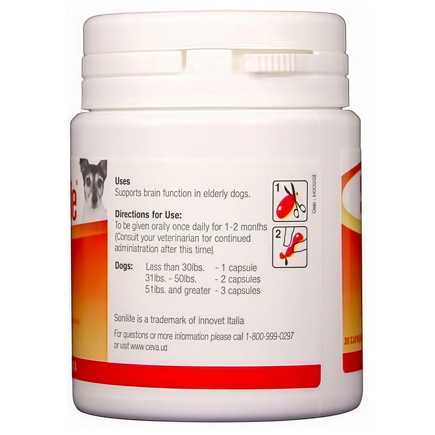 Brain Function Support Aging Pet Nutritional Supplement /D59010B Senilife Nutritional Supplement for Elderly Dogs(up to 50 lbs)- 30 / Box